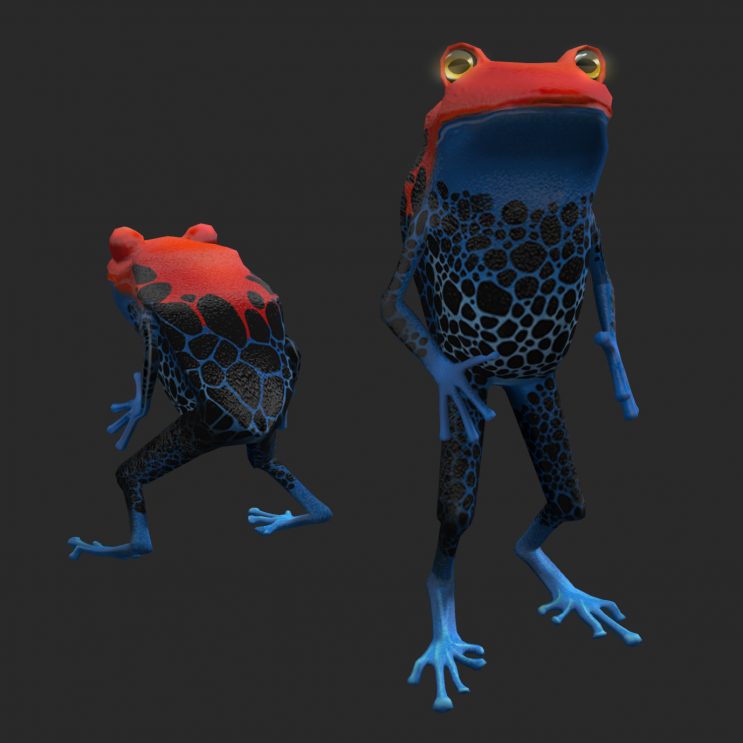Frog Avatar