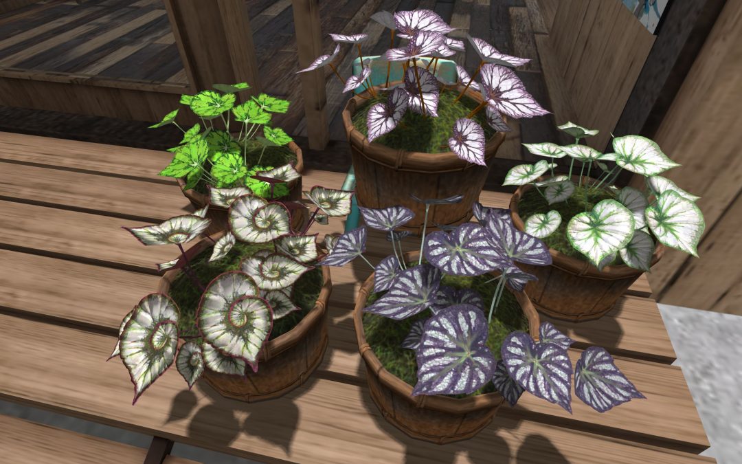 Plants, Trees & other Vegetation for gaming environments